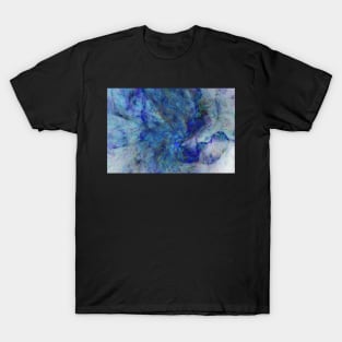 Ocean veil T-Shirt